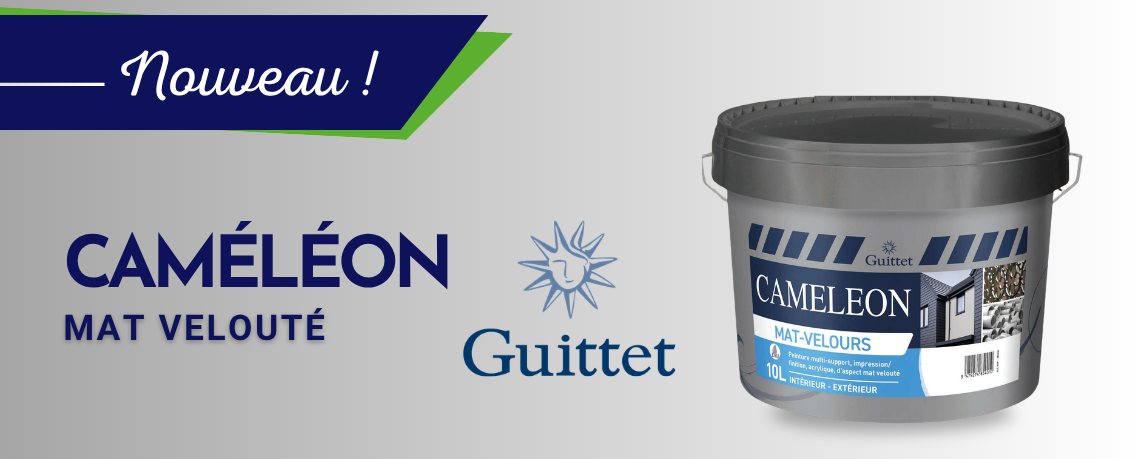 CAMELEON est une peinture acrylique multi-supports